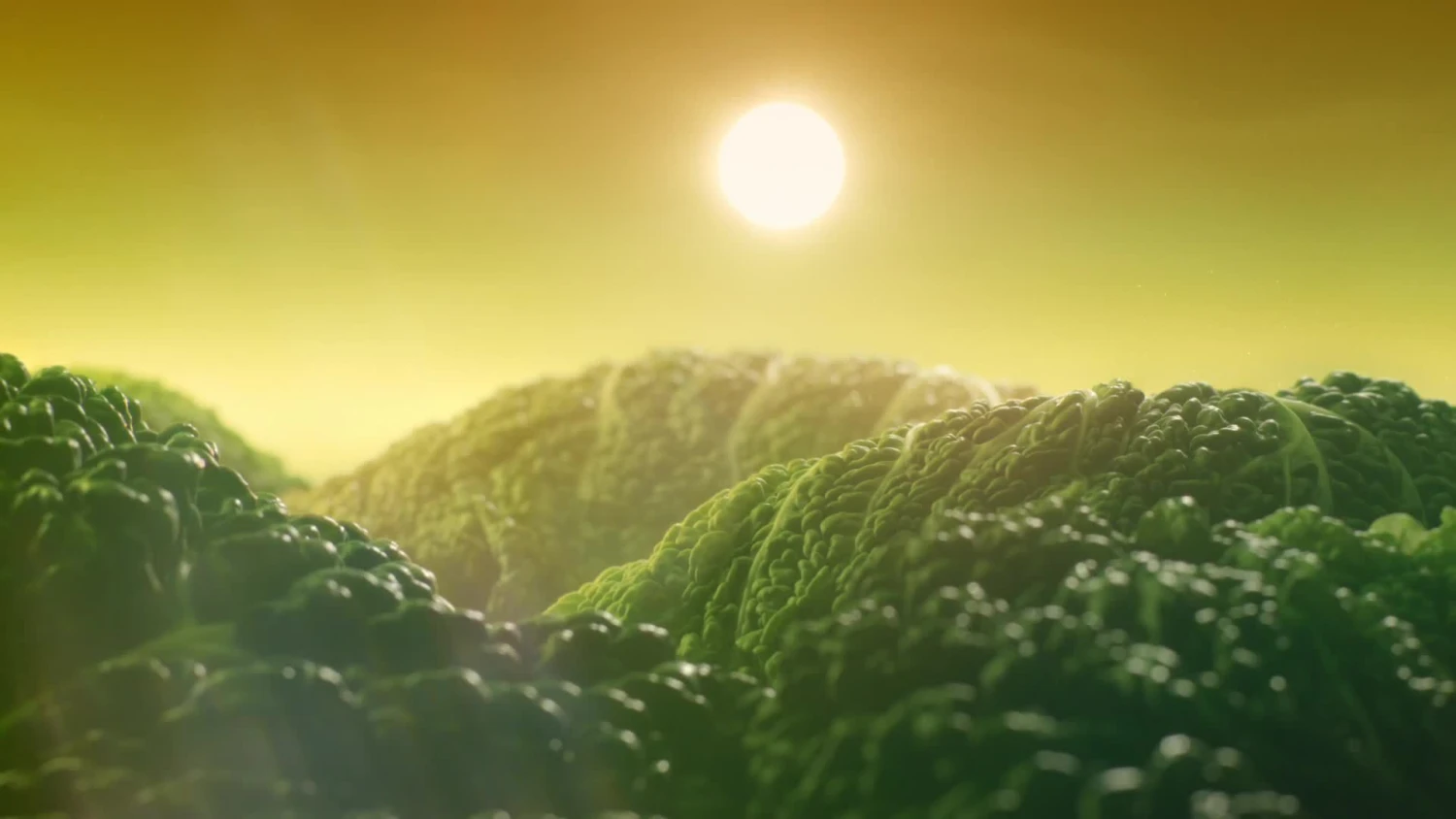 Beko CFP3691DVG 50:50 Freestanding Frost Free Fridge Freezer - Graphite 4 Beko CFP3691DVG 50:50 Freestanding Frost Free Fridge Freezer - Graphite - Image 2